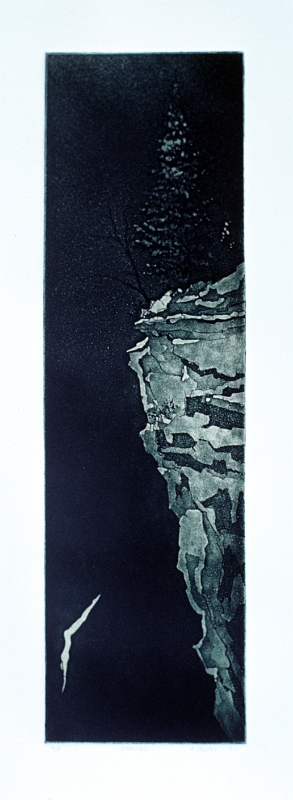 Free Fall, 16x4.5 in, viscosity etching, 2001.jpg