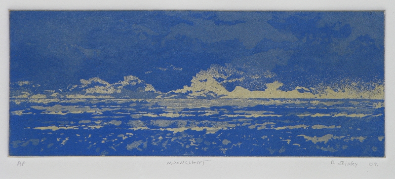 Moonlight Blue, 3.75-9.5 in, viscosity etching, 2009.JPG