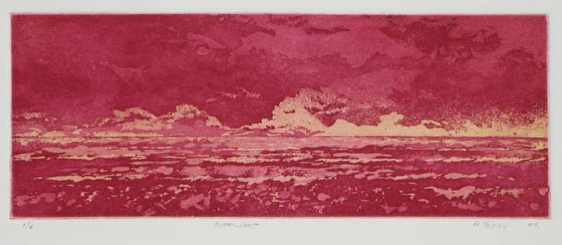 Moonlight Red, 3.75-9.5 in, viscosity etching, 2009.JPG