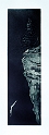 Free Fall, 16x4.5 in, viscosity etching, 2001