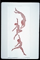 Play, 22x8 in, multi-plate viscosity etching, 1993