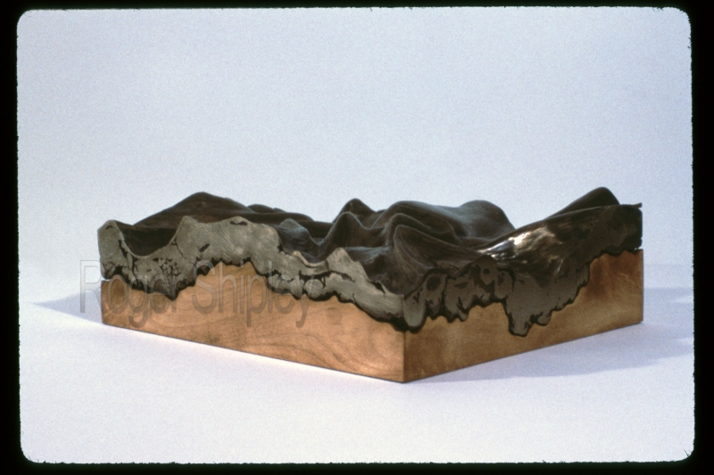 PP63, 3qtr view2, 12x12x4 inches, cast bronze, maple wood, 1987.jpg