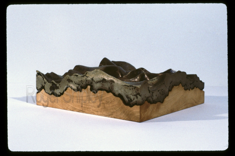 PP63, 3qtr view3, 12x12x4 inches cast bronze, maple wood, 1987.jpg