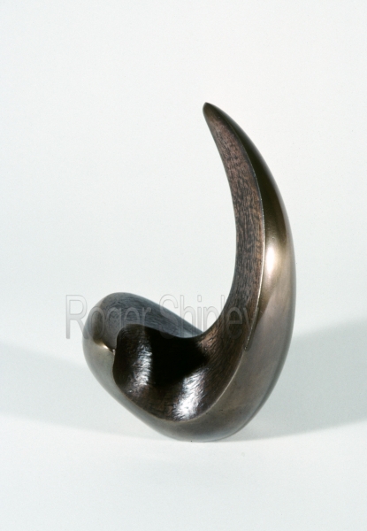 PP72, Foundation Commission, side view,  4x4x6.5 in, cast bronze, 1991.jpg