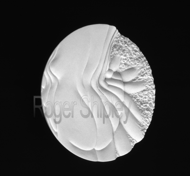 PP80, Summer Frolic 6, 3 qrt view, 7.5x1.5 inches, cast marble 1996.jpg