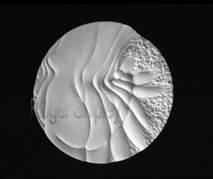 PP80, Summer Frolic 6, 7.5x1.5 inches, cast marble, 1996.jpg